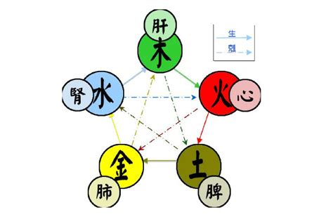 五行由來|五行(對萬事萬物的取象比類):簡介介紹,涵義解析,初始。